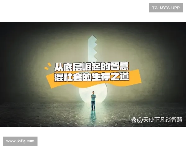 探索高效人生之道让职场进步与生活幸福在平衡中共同绽放